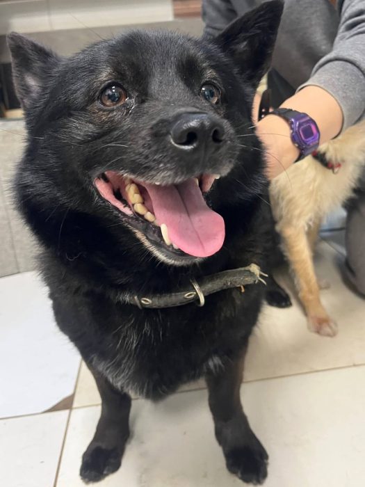 photo_2026-03-18_17-12-48