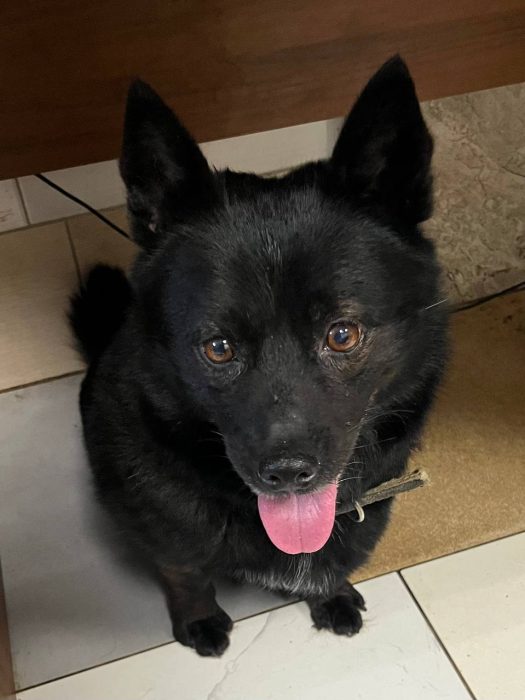 photo_2026-03-18_18-00-02