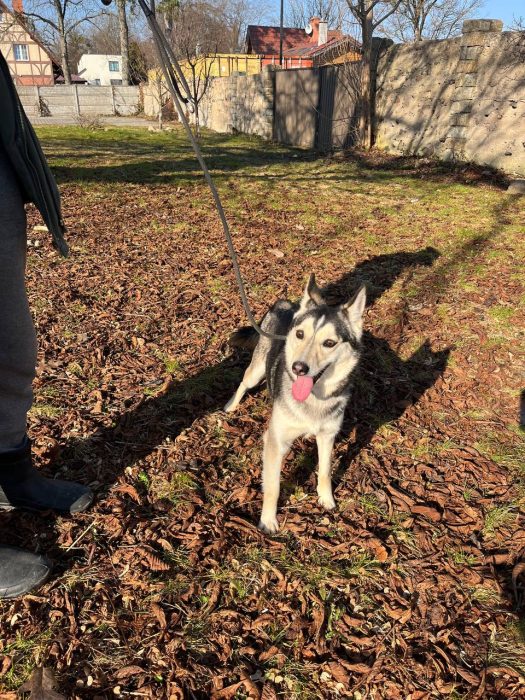 photo_2026-03-20_12-04-01 (2)