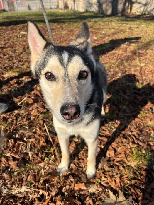 photo_2026-03-20_12-04-01