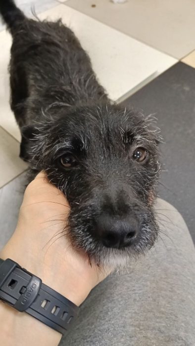 photo_2026-03-25_17-27-26