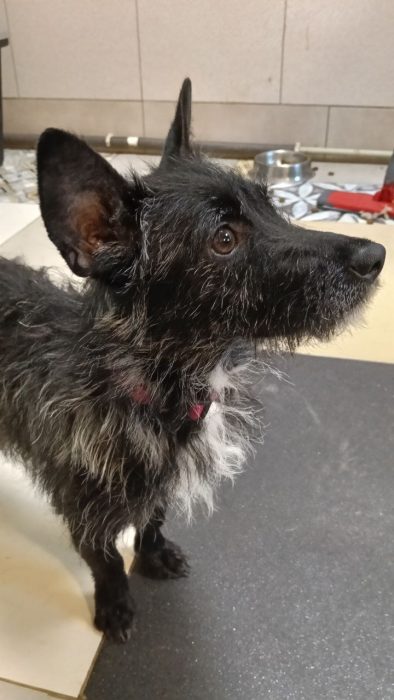 photo_2026-03-25_17-27-31