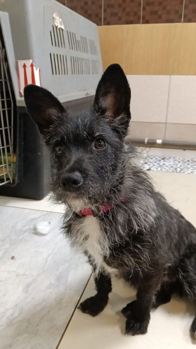 photo_2026-03-25_17-27-35