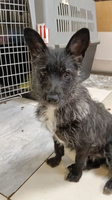 photo_2026-03-25_17-29-15