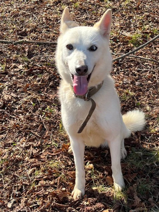 photo_2026-04-09_17-52-12