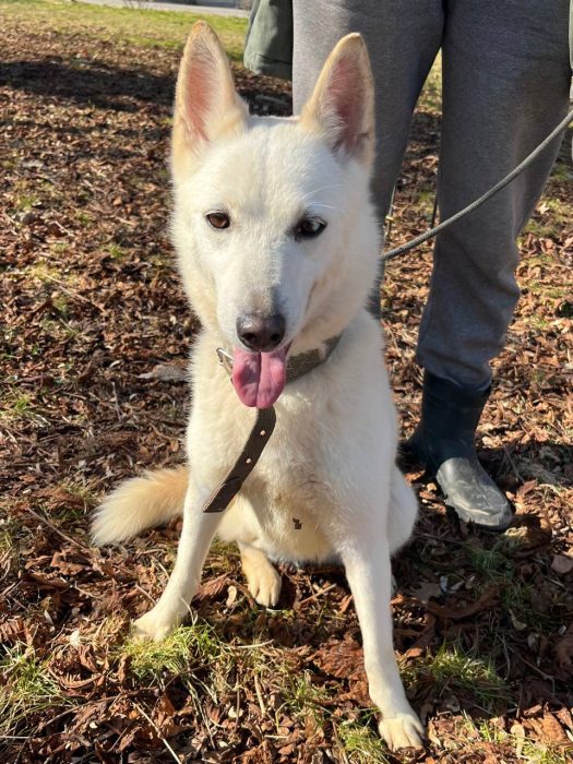 photo_2026-04-09_17-52-14