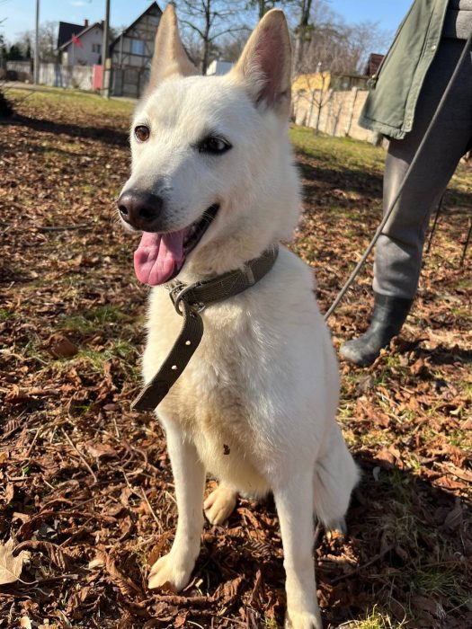 photo_2026-04-09_17-52-15