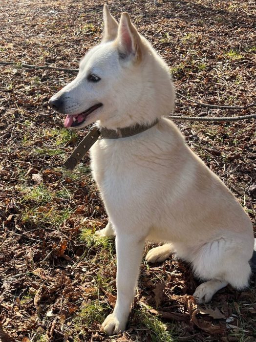 photo_2026-04-09_17-52-17