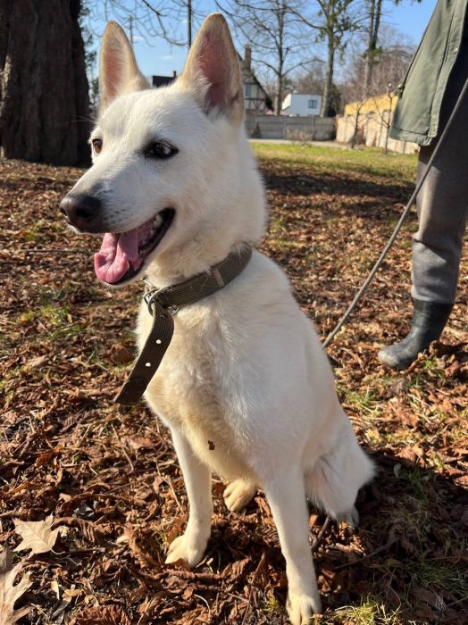 photo_2026-04-09_17-52-18