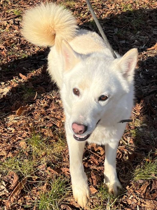 photo_2026-04-15_18-22-51