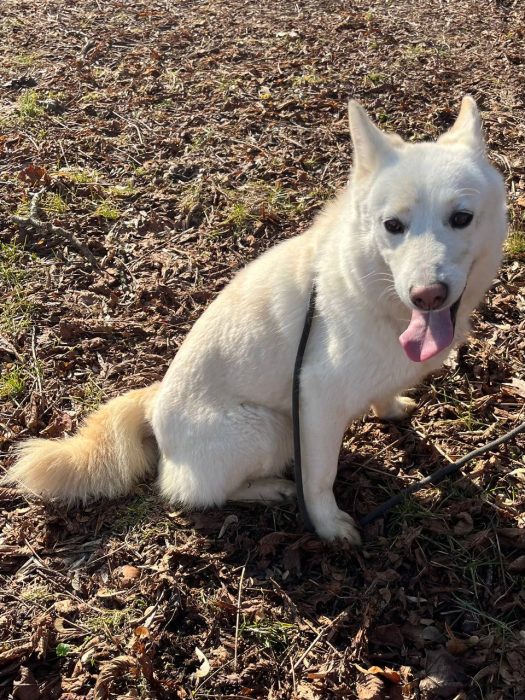 photo_2026-04-15_18-22-59