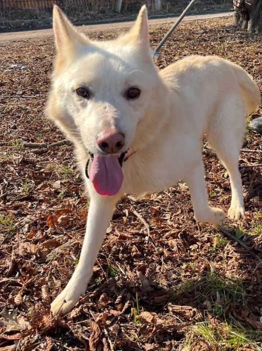 photo_2026-04-15_18-23-02