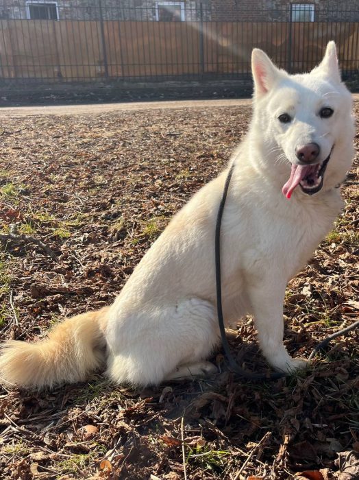 photo_2026-04-15_18-23-07