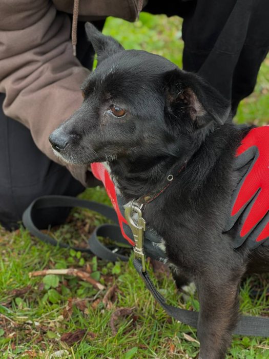 photo_2026-04-29_19-32-02