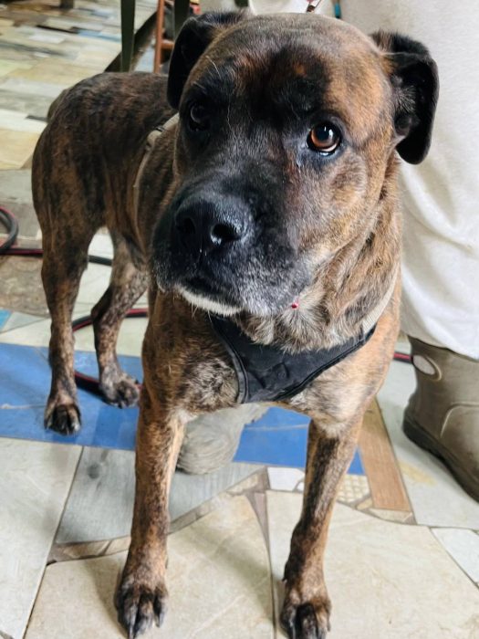 photo_2026-04-30_17-17-10