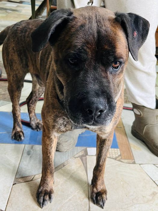 photo_2026-04-30_17-17-13