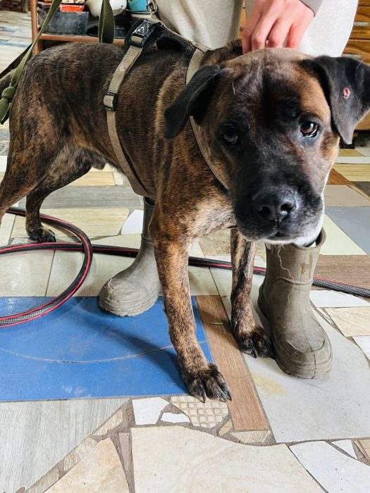 photo_2026-04-30_17-17-16