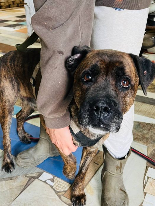 photo_2026-04-30_17-17-19