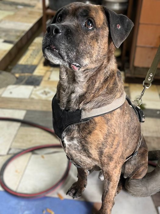 photo_2026-04-30_17-17-22